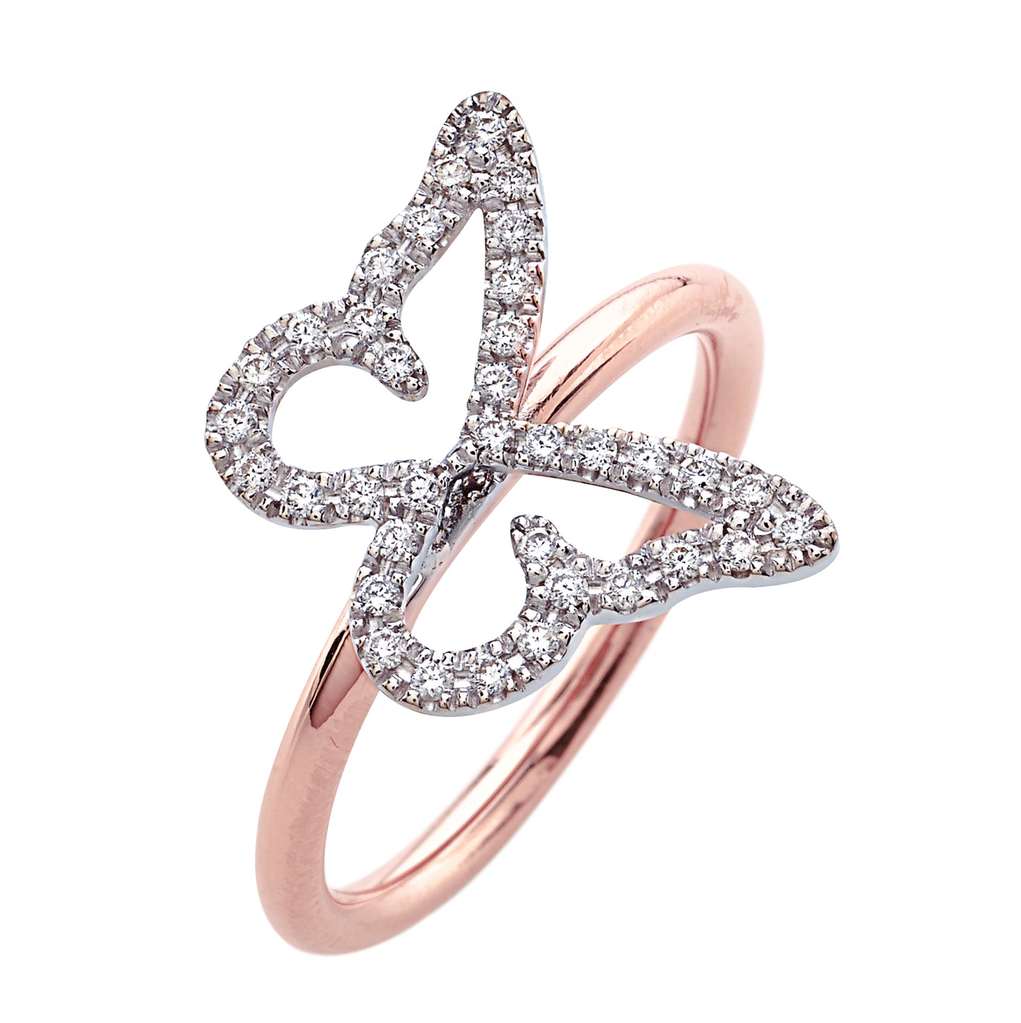 Anello Butterfly Spring Single